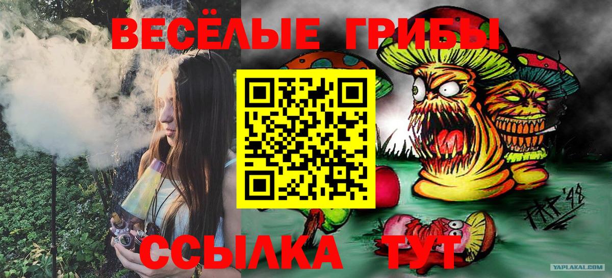 Галлюциногенные грибы GOLDEN TEACHER  Галлюциногенные грибы Cubensis  Прокопьевск 